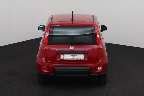 FIAT Panda 1.0 MHEV PANDINA EDITION  + A/C + PDC + CRUISE 