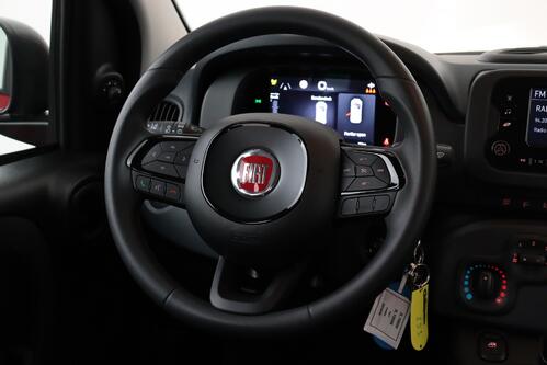 FIAT Panda 1.0 MHEV PANDINA EDITION  + A/C + PDC + CRUISE 