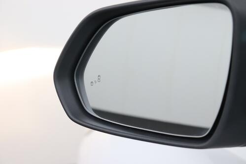 MG ZS EV + CAMERA + PDC + CRUISE + LEDER + PANO + ALU 17