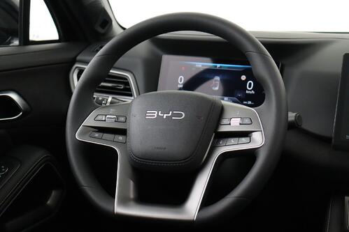 BYD ATTO 2 ACTIVE + A/T + CARPLAY + LEDER + CAMERA + CRUISE(ACC) + PANO DAK + ALU 