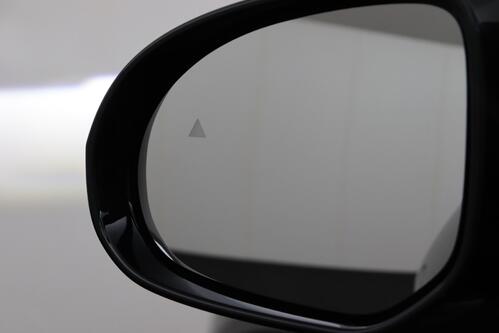 BYD ATTO 2 ACTIVE + A/T + CARPLAY + LEDER + CAMERA + PANO DAK + CRUISE(ACC) + ALU 