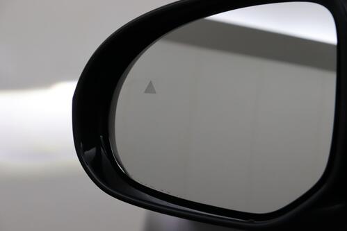 BYD ATTO 2 ACTIVE + A/T + CARPLAY + LEDER + CAMERA + PANO DAK + CRUISE(ACC) + ALU 