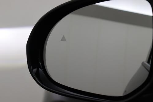 BYD ATTO 2 ACTIVE + A/T + CARPLAY + LEDER + CAMERA + PANO DAK + CRUISE(ACC) + ALU 